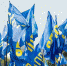 WhatsApp Image 2021-09-09 at 11.23.01 - Сетевое издание Арбуз