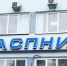 В научном учреждении под Астраханью погибло 4 тонны осетровых - Астраханский листок