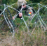 Европейский клуб самоубийц - Ast-News.Ru