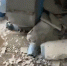 Впихнуть невпихуемое: в одном из домов 3 Юго-Востока взорвался мусоропровод - Bloknot-Astrakhan.Ru