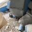 vlcsnap-2021-11-08-21h12m54s286 - Сетевое издание Арбуз