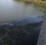 Где ловить рыбу при низких уровнях воды в Астраханской области  - KaspyInfo.Ru