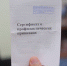 Данные 500 тысяч купивших поддельные сертификаты россиян слили в Сеть - СМИ - KaspyInfo.Ru