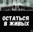 Остаться в живых: читатели Шаховки попадут на опасный остров - Правительство Астраханской области