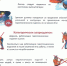 Памятка по применению гражданами бытовых пиротехнических изделий - Администрация города
