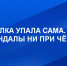 Новогодняя ёлка в Астрахани упала сама. Вандалы ни при чём - Телеканал Семь плюс