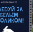 «Шаховка» предлагает отправиться за белым кроликом - Правительство Астраханской области