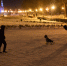 DAD_8220 - Сетевое издание Арбуз