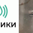 Астраханских школьников приглашают принять участие в всероссийском флешмобе «Хранители птиц» - Астраханский листок