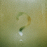 Как без специального прибора узнать, какая влажность у вас дома  - KaspyInfo.Ru