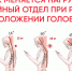 Рубрика #ЧСС | Синдром «компьютерной шеи»: эпидемия 21 века - Агентство по делам молодежи