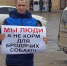 В Ахтубинском районе прошли одиночные пикеты против бездомных собак - Punkt-a.info