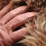 tan-gloves-4562830_960_720 - Сетевое издание Арбуз