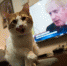 DAD_3699 - Сетевое издание Арбуз