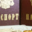 щщ-1564-2 - Сетевое издание Арбуз