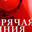 Горячая линия Минпромторга РФ и АО «Российский экспортный центр» для поддержки промышленных предприятий - Минпром Астраханской области