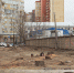 Как в Астрахани удлиняют променад Комсомольской набережной - Ast-News.Ru
