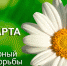 Всемирный день борьбы с туберкулезом - ГБУЗ АО КРД