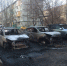 16 - Сетевое издание Арбуз