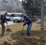 В Астрахани высадят шесть тысяч деревьев и кустарников - Газета Волга