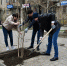Глава Астрахани пригласила горожан принять участие в Днях чистоты - Газета Волга