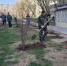 В Астрахани продолжается весенняя уборка и озеленение территорий - Администрация города