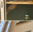Дом напротив площади Ленина хотят признать аварийным из-за трещины, которая не причём - Astrakhanpost.Ru