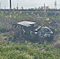 A71CC55D-4967-4DE3-BAB9-8BB79C2E6998 - Сетевое издание Арбуз