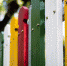 Фото: https://pixabay.com - KaspyInfo.Ru