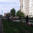 На улице Валерии Барсовой приводят в порядок аллею - Администрация города