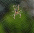 Фото: pixabay.com - KaspyInfo.Ru