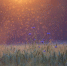 Фото: pixabay.com - KaspyInfo.Ru