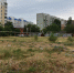 WhatsApp Image 2022-06-24 at 15.54.51 - Городская Дума