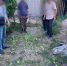 конопля - Сетевое издание Арбуз