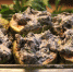 Секреты астраханской кухни: кабачки с брынзой и грибами - Ast-News.Ru