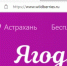 Ягодки будут впереди: Wildberries сменил название сайта - Астрахань 24