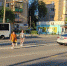 Фото: Н. Васильевой, Р. Мухтарова - KaspyInfo.Ru