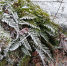 Фото: wirestock на Freepik - KaspyInfo.Ru