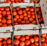 В Астрахани 17 сентября откроется ярмарка продуктов по сниженным ценам - Astrakhanpost.Ru
