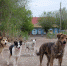 Фото: Е. Зимней - KaspyInfo.Ru