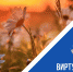 Всероссийский конкурс этнокультурных выставочных проектов «Виртуальный тур по многонациональной России» - Министерство культуры