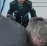 29008 - КПРФ