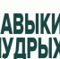 Астраханка вышла в финал V Национального чемпионата «Навыки мудрых» - Астрахань 24