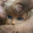finger-child-ear-mouth-chest-close-up-933324-pxhere.com - Сетевое издание Арбуз