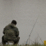 Фото: Е. Зимней - KaspyInfo.Ru
