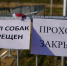 В Волге обнаружили патогенные микроорганизмы после коммунальной аварии в Волгограде - Bloknot-Astrakhan.Ru