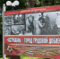 Фото: Е. Зимней - KaspyInfo.Ru