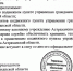54477882211 - Сетевое издание Арбуз