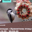 В Астраханской области стартовал конкурс «Хранители птиц» - Минстрой Астраханской области
