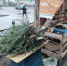 Фото: А. Роговой - KaspyInfo.Ru